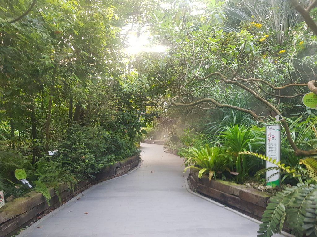 Taipei Collective Botanical Garden