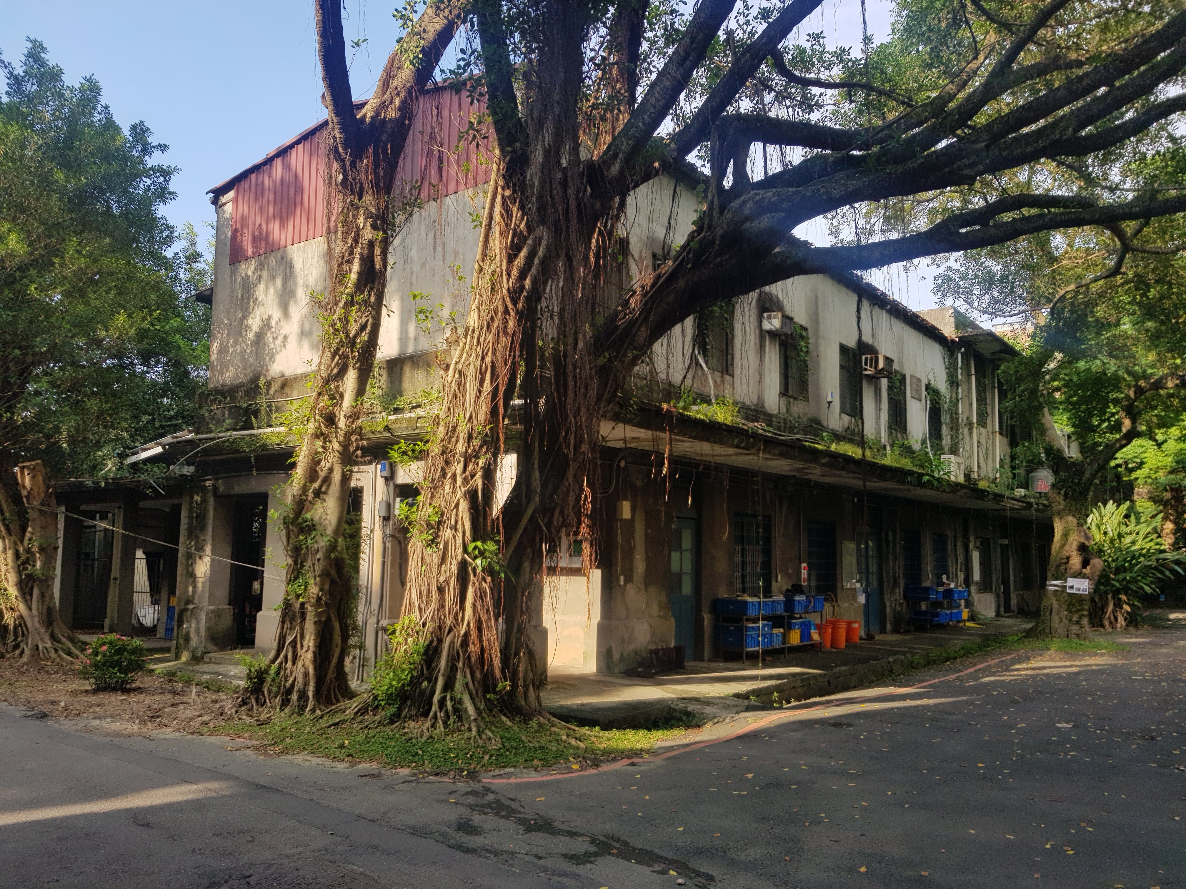 National Taiwan University