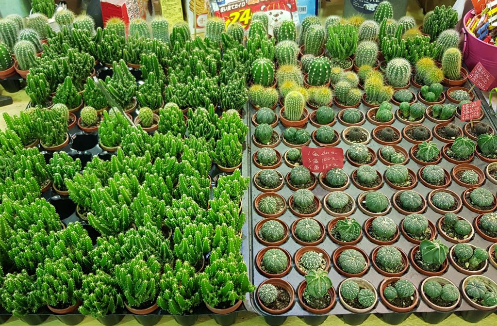 Jianguo Flower Market