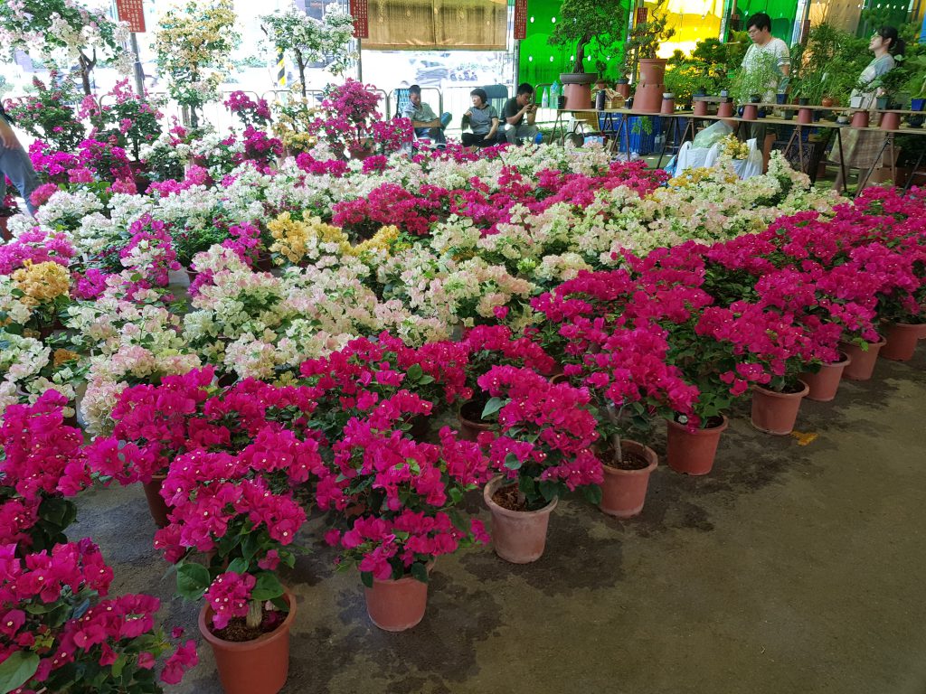 Jianguo Flower Market