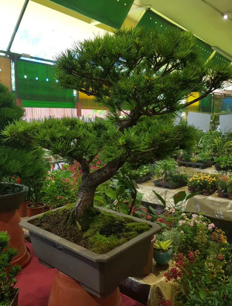 Jianguo Flower Market