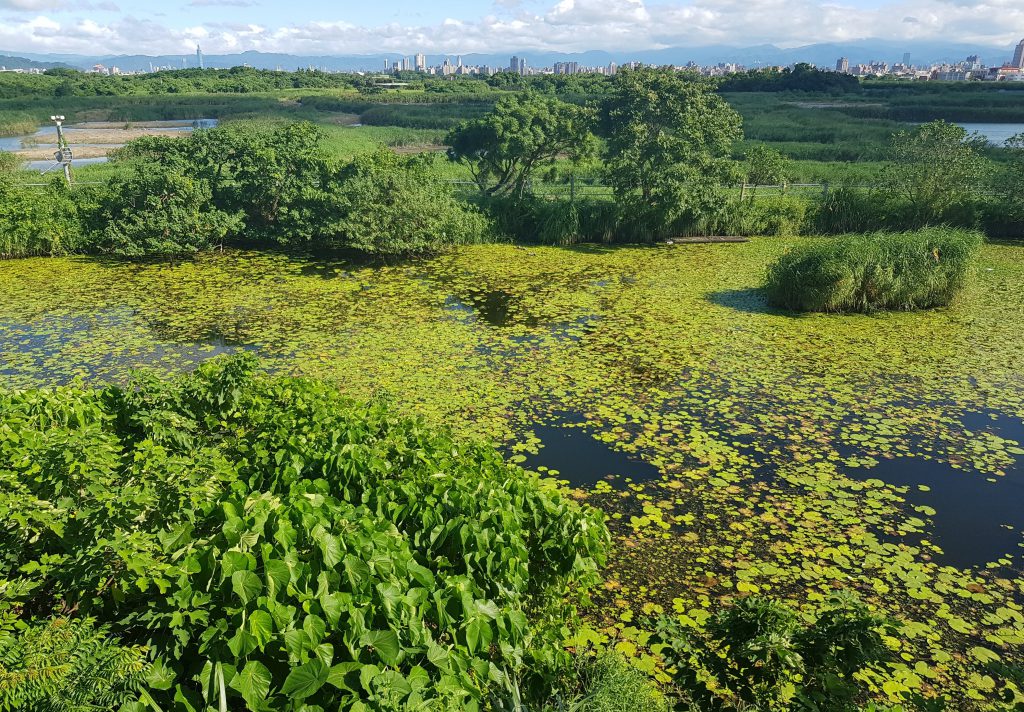 Guandu Nature Park