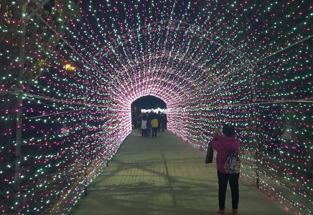 Danshui Christmas Lights