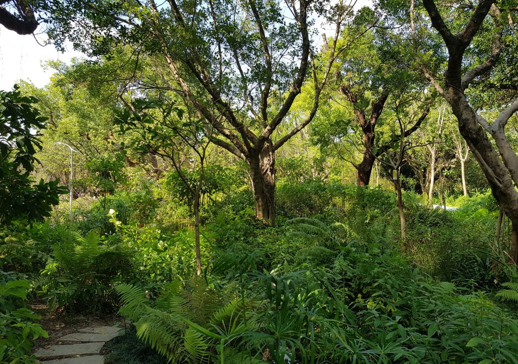 Daan Forest Park