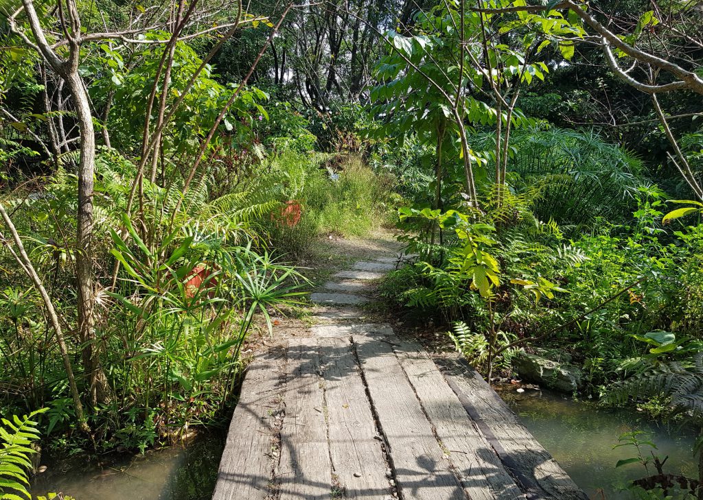 Daan Forest Park