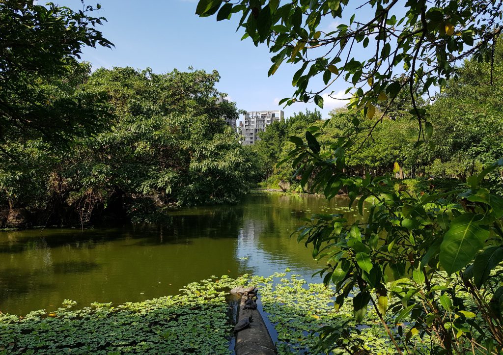 Daan Forest Park Bird Island