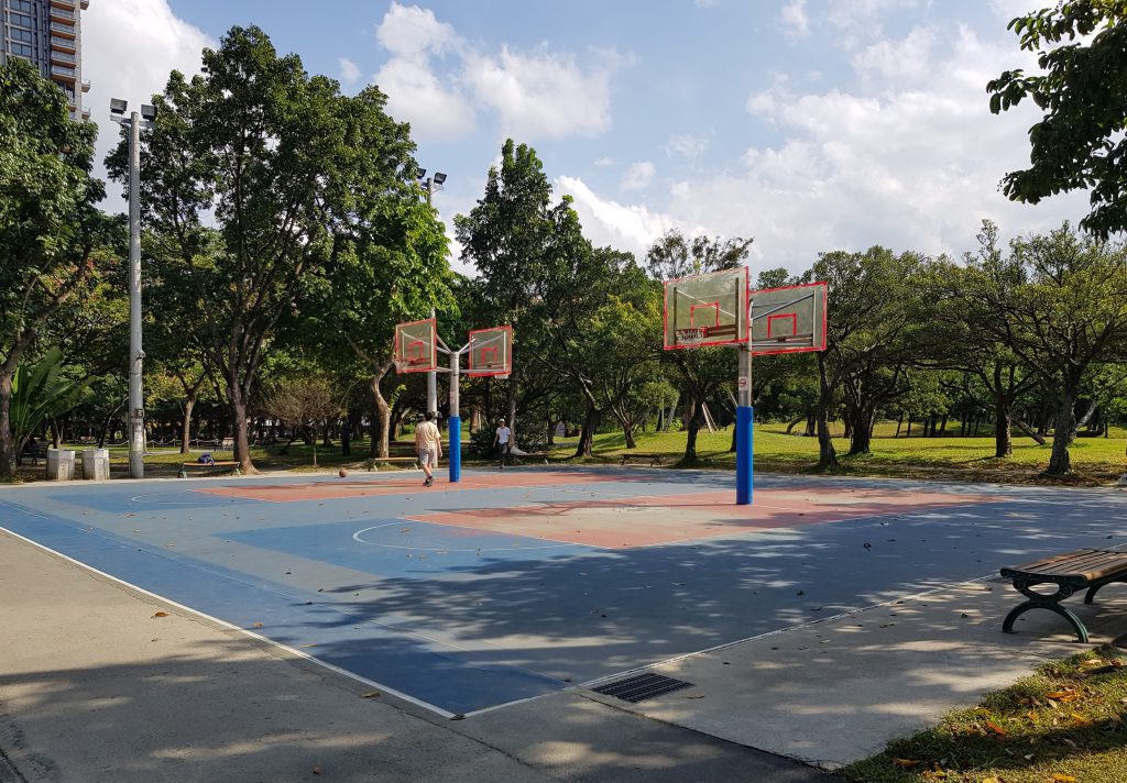 Daan Forest Park Basketball
