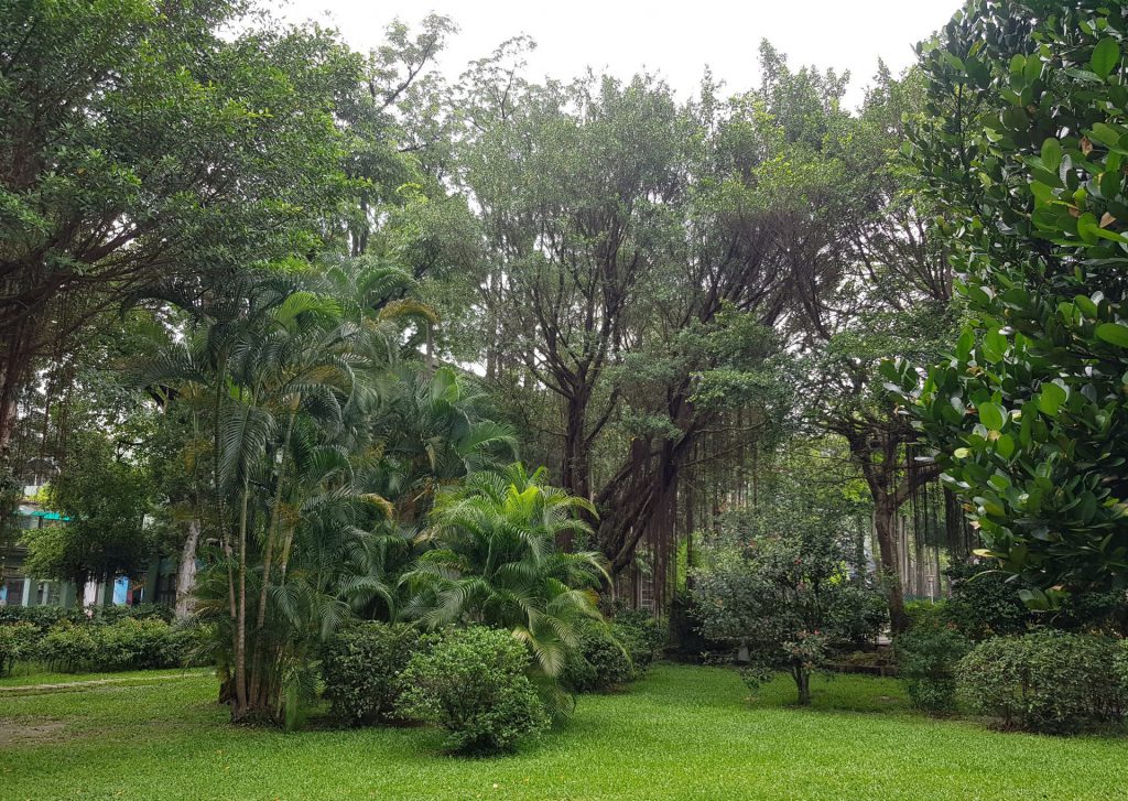 Sun Yat-Sen Memorial Hall Gardens