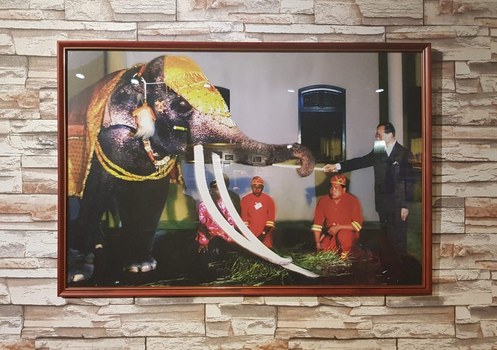 Thai Elephant