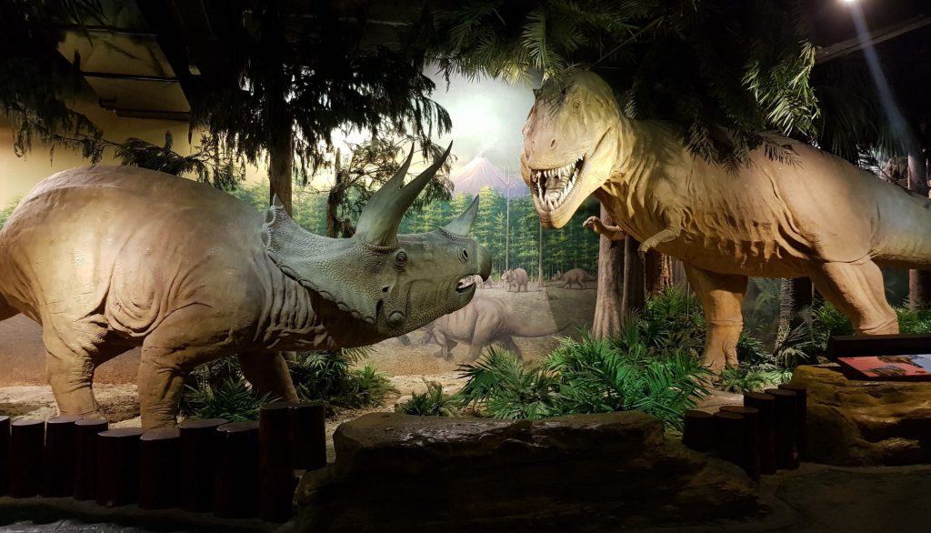 Animal Ecology and Dinosaur Museum