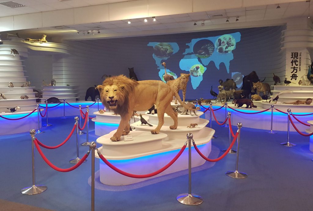 Animal Ecology and Dinosaur Museum