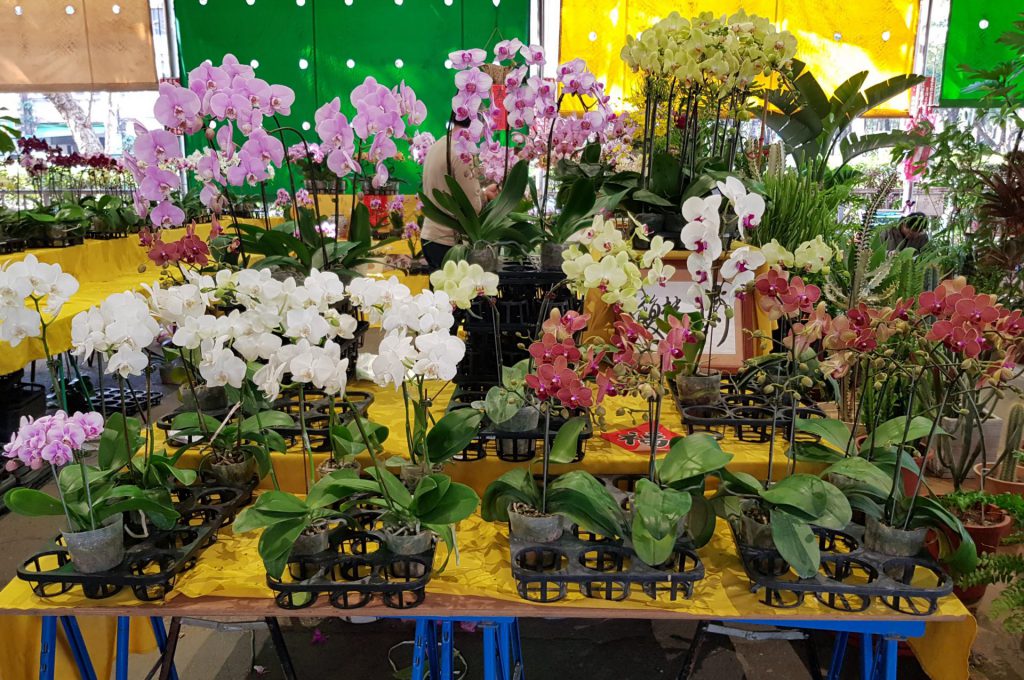 Jianguo Flower Market