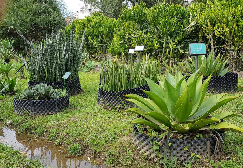 Taipei Botanical Garden