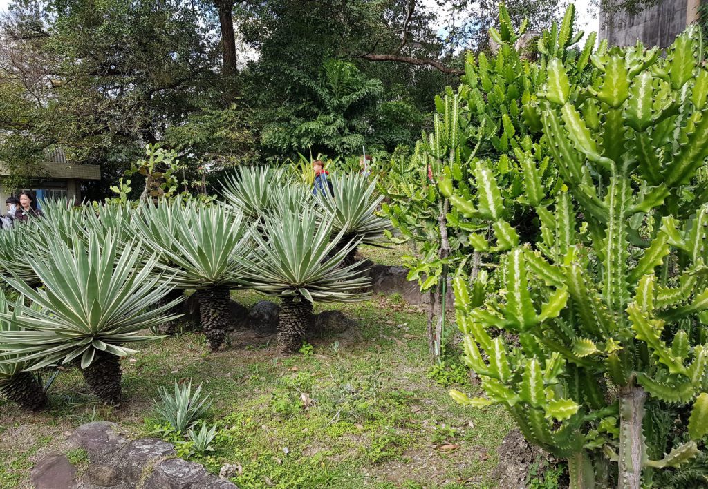 Taipei Botanical Garden