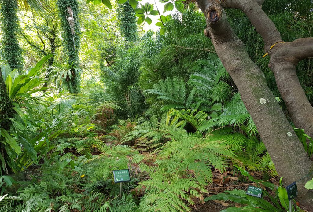 Taipei Botanical Garden