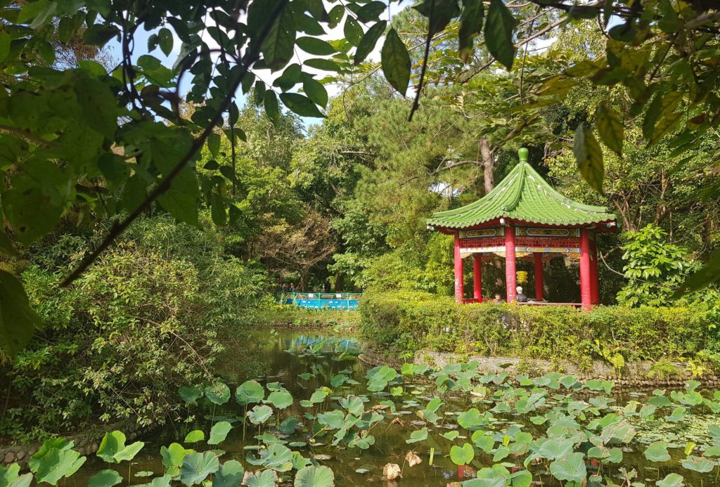 Taipei Botanical Garden