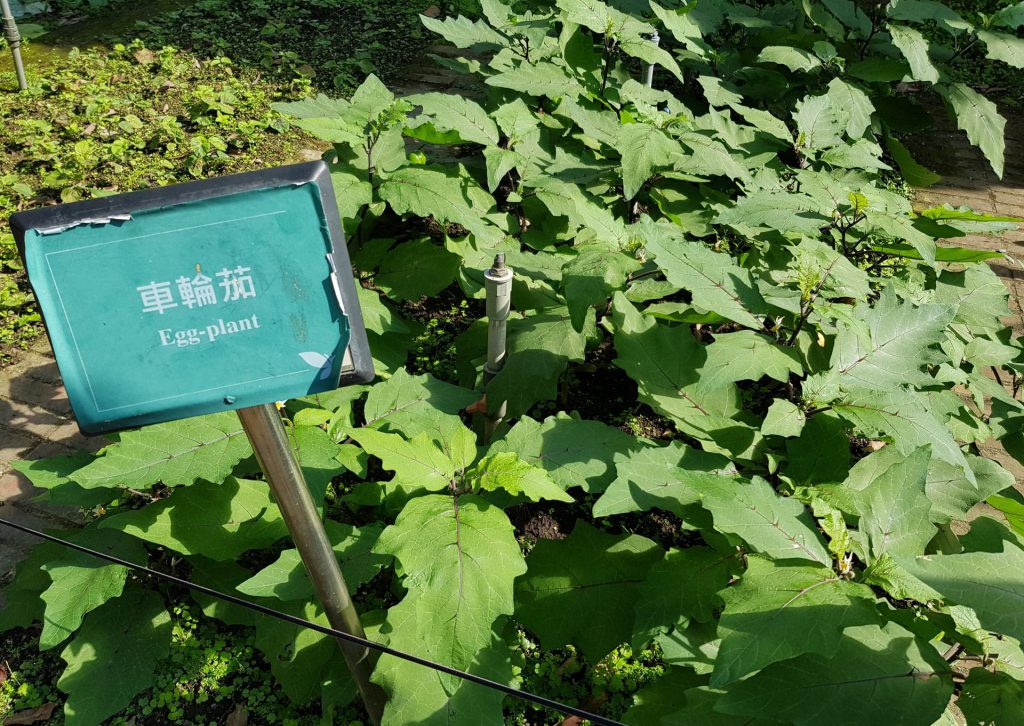 Taipei Botanical Garden