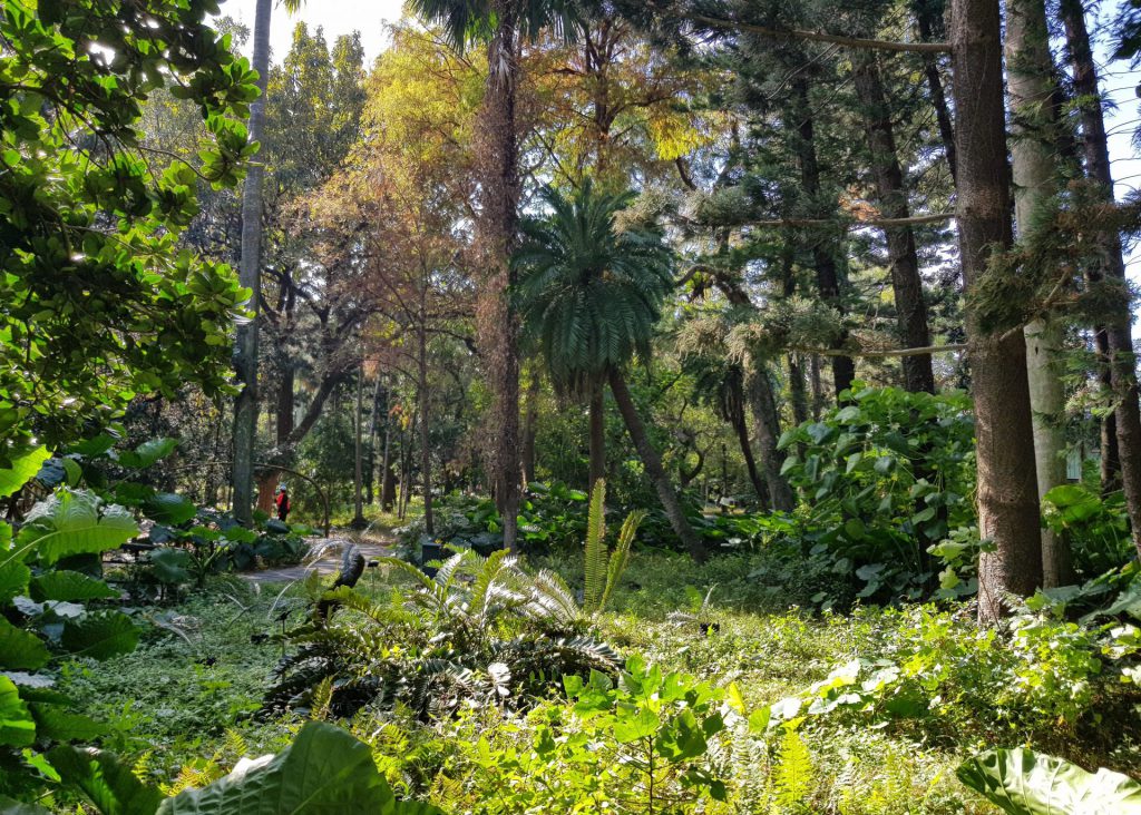 Taipei Botanical Garden