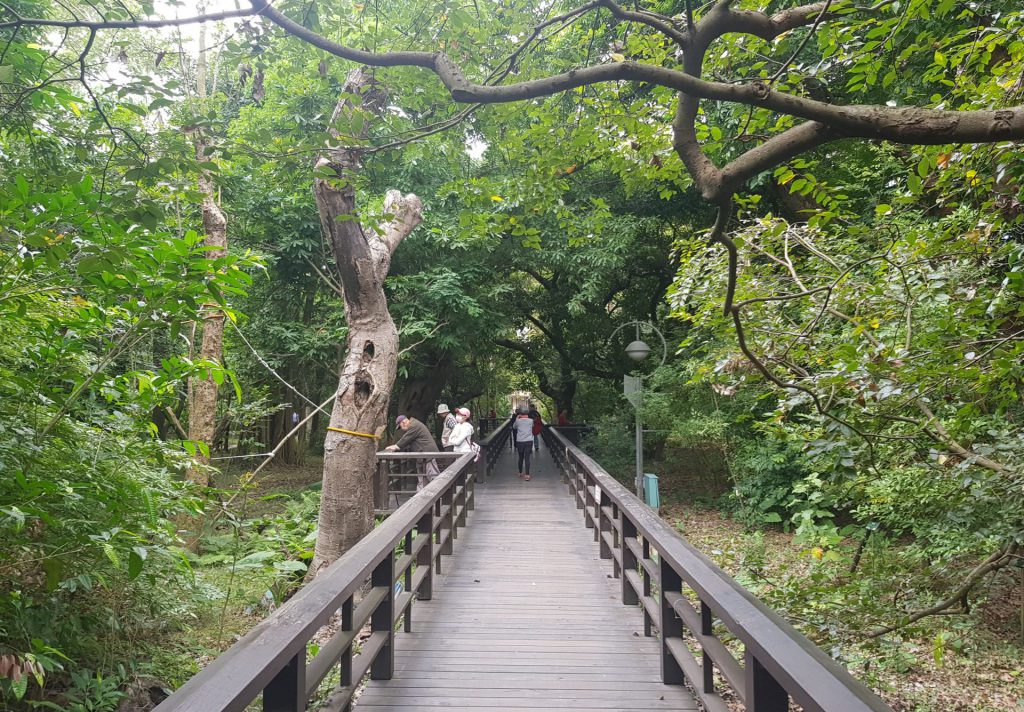 Taipei Botanical Garden