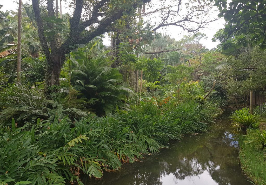 Taipei Botanical Garden