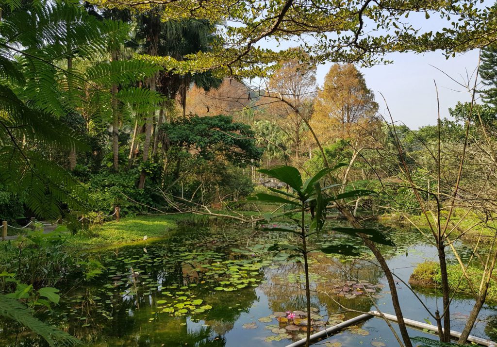 Taipei Zoo Gardens