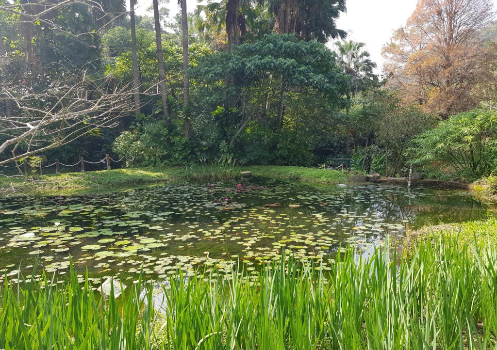 Taipei Zoo Gardens