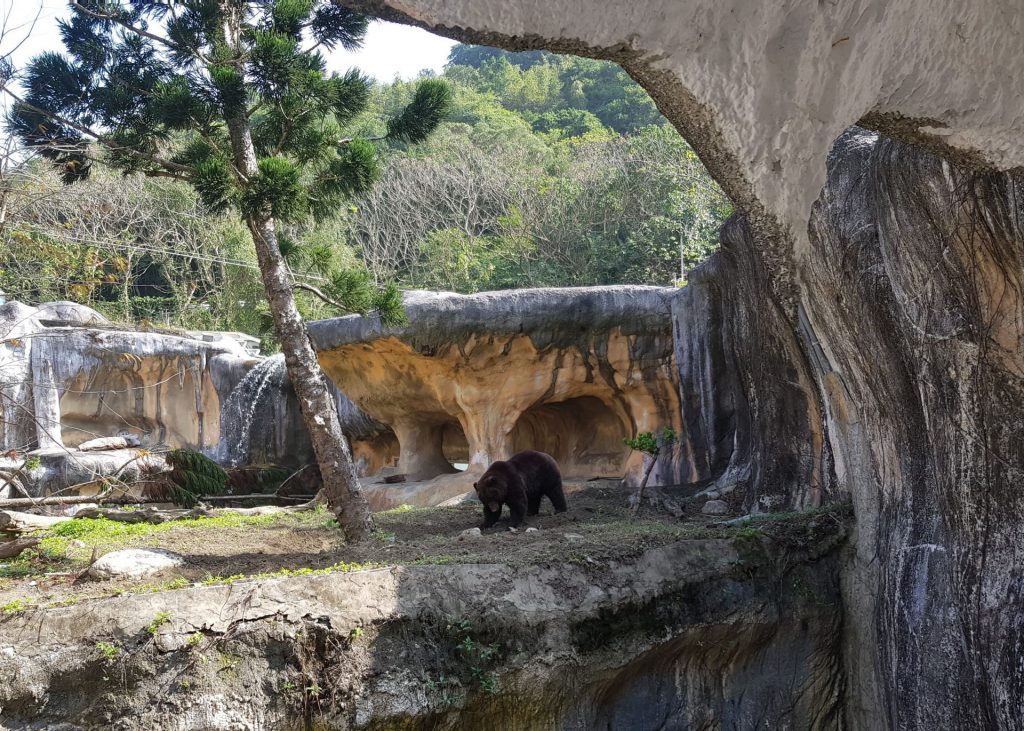 Taipei Zoo Temperate Zone