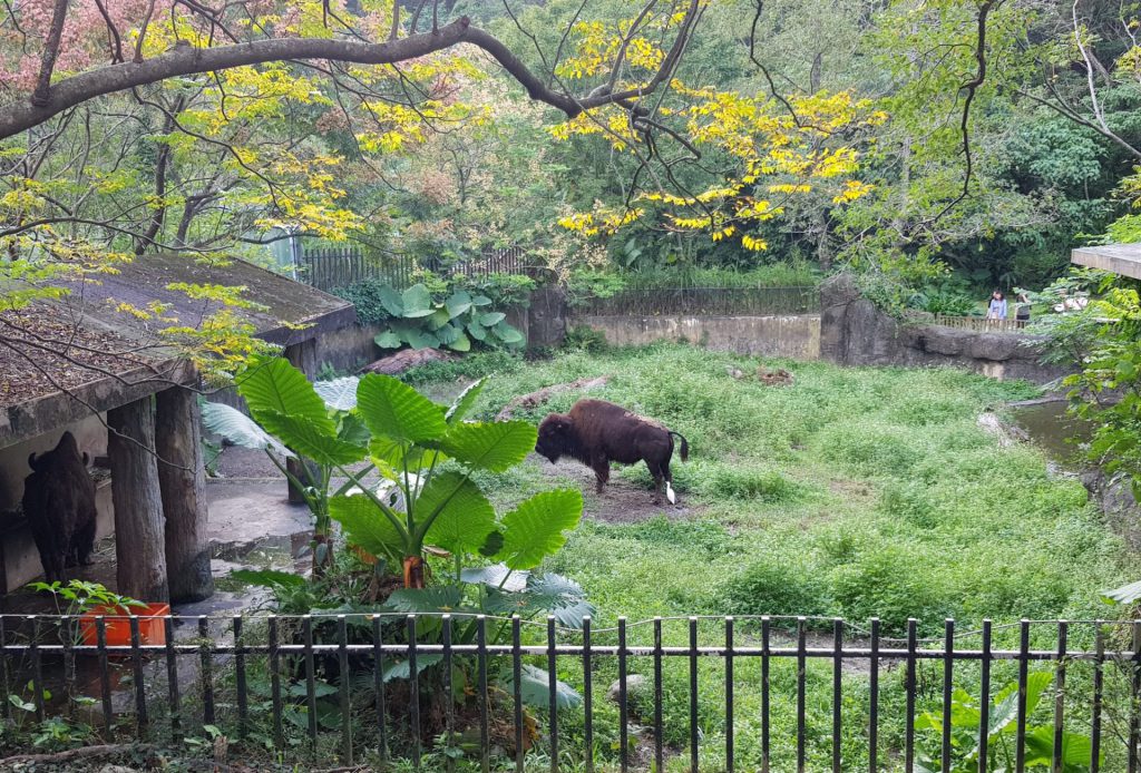 Taipei Zoo Temperate Zone