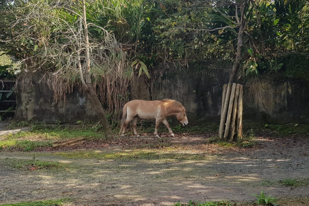Taipei Zoo Temperate Zone