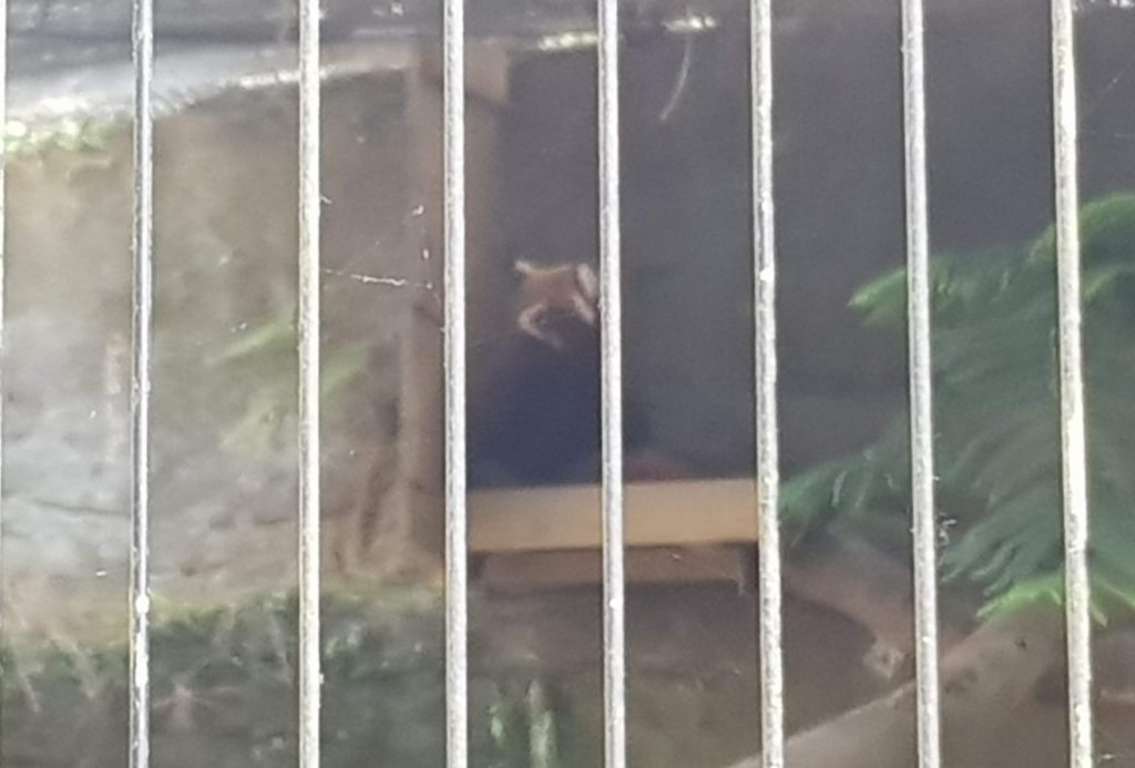 Taipei Zoo Temperate Zone