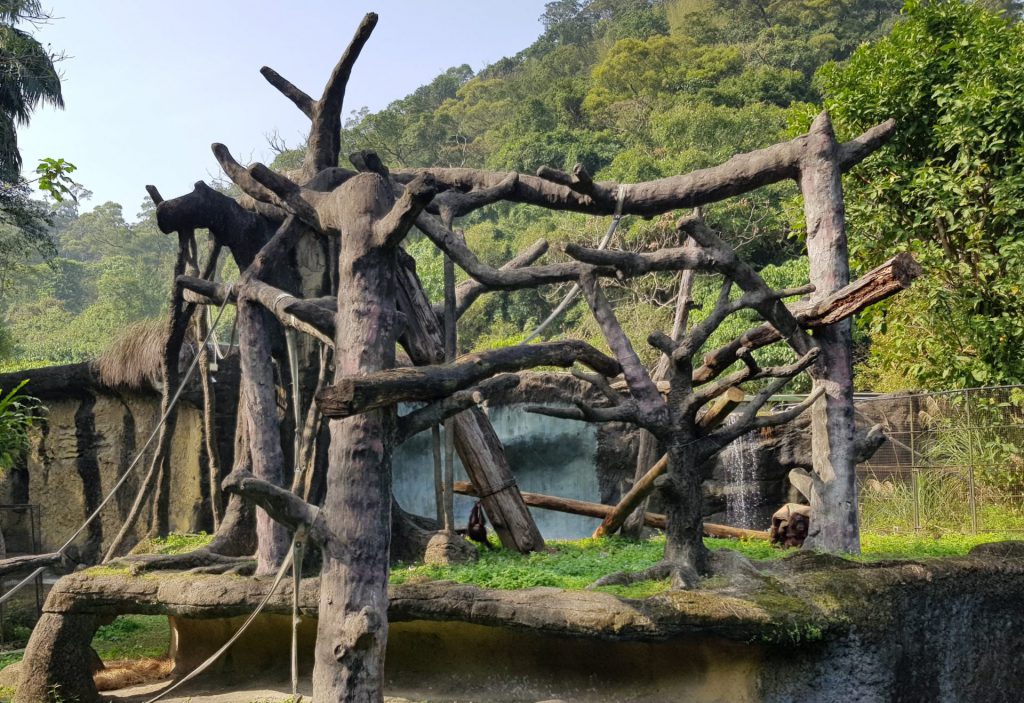 Taipei Zoo Tropical Rainforest