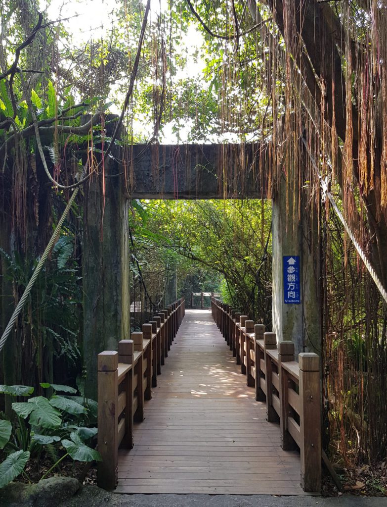 Taipei Zoo Tropical Rainforest