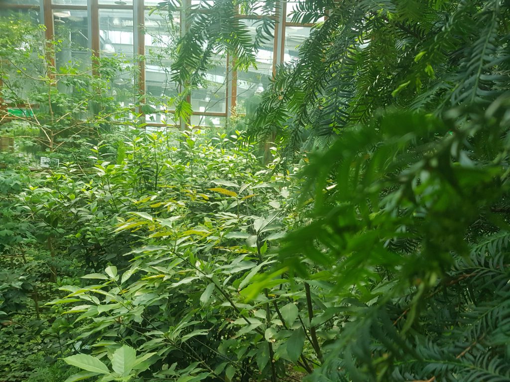 Taipei Collective Botanical Garden