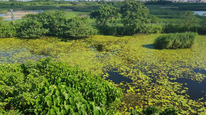 Guandu Nature Park