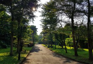 If You Don’t Fancy Hiking, Try These Walking Areas Instead