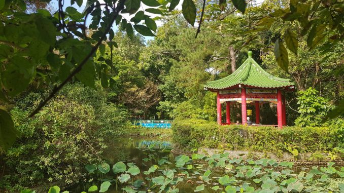 Taipei Botanical Garden