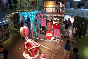 14 Quirky, Cool or Fun Things to Try in Taipei