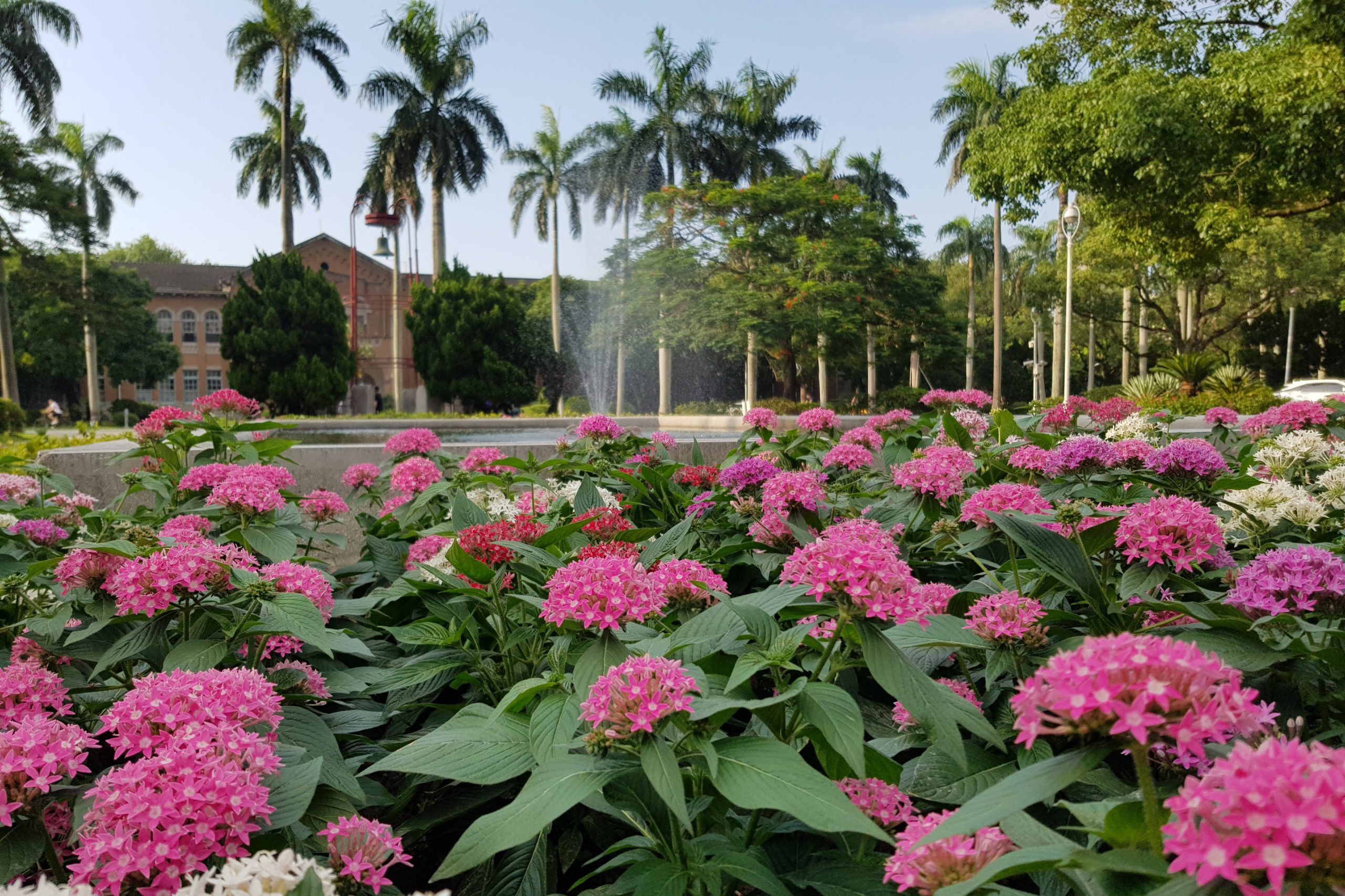 National Taiwan University